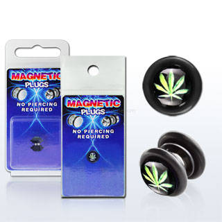 Magnetic fake plug 