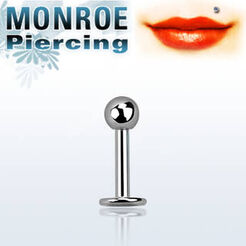 Surgical steel monroe labret