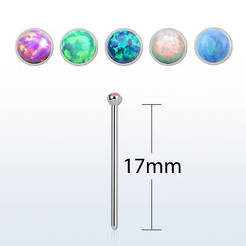 Surgical steel nose stud