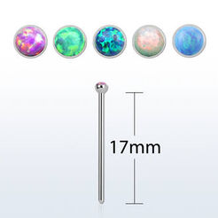 Surgical steel nose stud